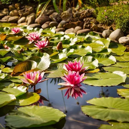 Madrigale Lejlighedshotel