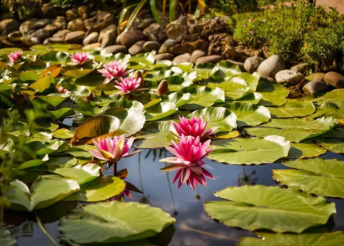 Madrigale Апарт-отель